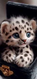 Adorable snow leopard cub with blue eyes in a black box