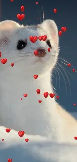 Adorable white weasel on snowy background.