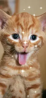 Adorable orange kitten with sparkles on fur, tongue out playfully.