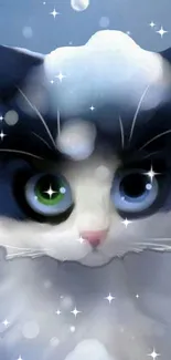 Cute cat with dual-colored eyes and sparkling stars on a mobile wallpaper.