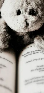 Cute teddy bear sitting on an open book.