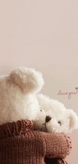 Cute teddy bear hugging another teddy with soft pink background.