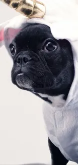 French Bulldog dressed as unicorn, against plain background.