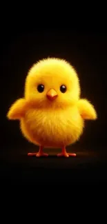 Adorable fluffy yellow chick against dark background.
