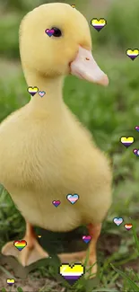 Cute duckling with pixel hearts on grass background.