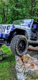 Rugged jeep explores forest terrain on rocky path.