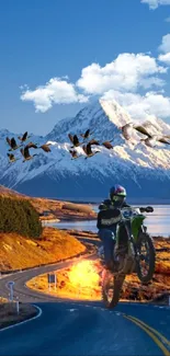 Motorcyclist on scenic mountain road with geese and blue sky.