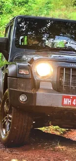 Black SUV driving through a lush green forest trail.