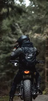 Motorcyclist rides through dense forest trail showcasing adventure.