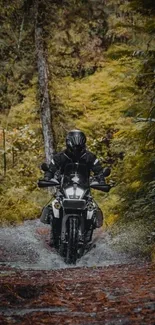 Motorcycle rider on a forest trail adventure.