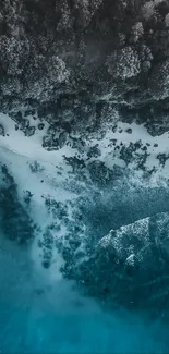 Aerial view of a serene beach meeting a dense forest.