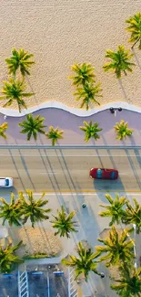 Aerial view of beach road with palm trees.