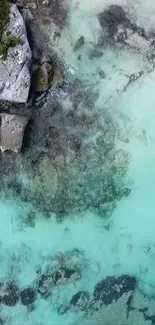 Aerial view of turquoise water and rocky coastline wallpaper.