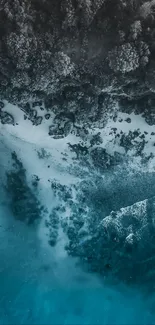 Aerial view of coastline with forest, beach, and sea.