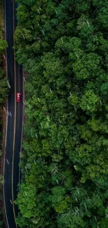 Aerial view of a road cutting through lush green forest.