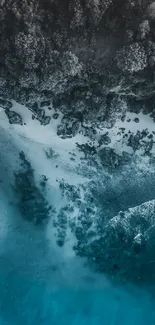 Aerial view of a coastline with blue ocean and lush trees.