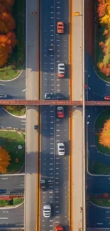 Aerial view of autumn highway with colorful foliage.