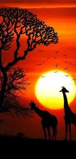 Silhouette of wildlife against an orange African sunset sky.