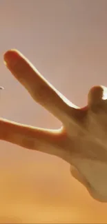 Aircraft Gesture Finger Live Wallpaper