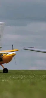 Small airplane on a green field under a cloudy sky.