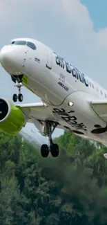 Airplane taking off against a blue sky background with trees below.