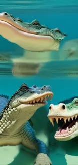 Alligators swimming in turquoise water, showcasing vibrant wildlife art.