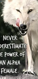 Alpha female wolf with empowering quote.