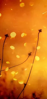 Orange nature wallpaper with silhouetted plants and bokeh effects.