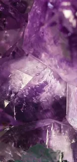Close-up of amethyst crystals with vibrant purple hues.