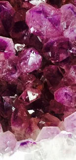 Vibrant amethyst crystals in close-up view for mobile wallpaper.