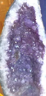 Amethyst geode featuring vibrant purple crystals with a natural texture.