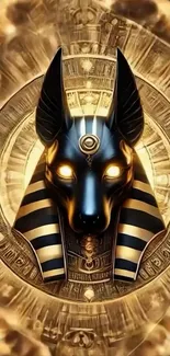 Golden Anubis themed wallpaper with hieroglyphic background.