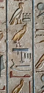 Ancient Egyptian hieroglyphics carved in stone wall.