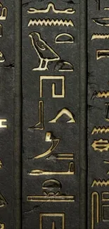 Ancient Egyptian hieroglyphs with gold highlights on a dark background.