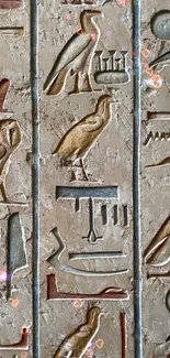 Intricate ancient Egyptian hieroglyph carvings on stone