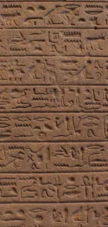 Close-up of ancient Egyptian hieroglyphs on a brown stone wall.