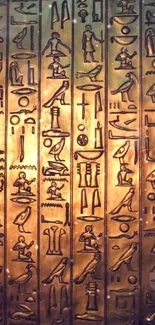 Mobile wallpaper with ancient Egyptian hieroglyphs in bronze.