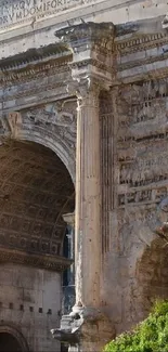 Close-up of ancient Roman stone arch with intricate carvings and green accents.