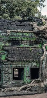 Ancient temple enveloped by tree roots.