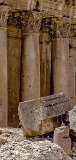 Stone columns and ruins with classical architectural details.