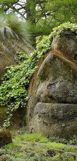 Moss-covered stone face in lush green forest landscape.