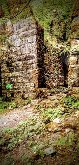 Mysterious ancient stone ruins surrounded by lush greenery in a forest setting.