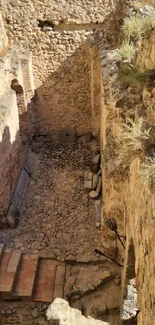 Sunlit stone ruins with textured walls and paths.