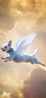 Winged dog flies through golden clouds in a heavenly scene.