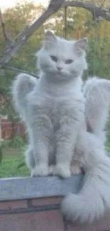 White fluffy cat with angel wings sitting on a brick wall in a garden.