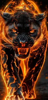 Angry Fire Panther Live Wallpaper