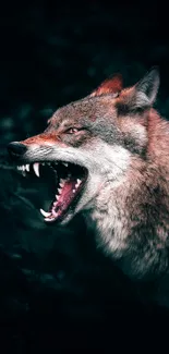 Angry Wolf Live Wallpaper