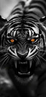 Angry Yellow Eyed Tiger Live Wallpaper