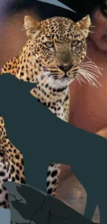 Animal Carnivore Mammal Live Wallpaper