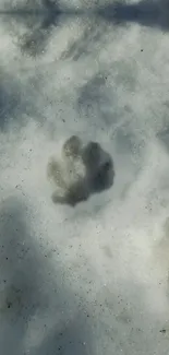 Animal paw print in snow, capturing winter's raw beauty.